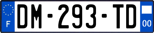 DM-293-TD