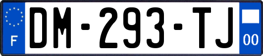 DM-293-TJ