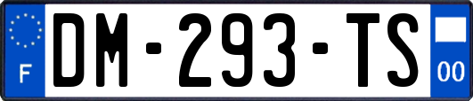DM-293-TS