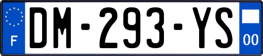 DM-293-YS