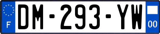 DM-293-YW