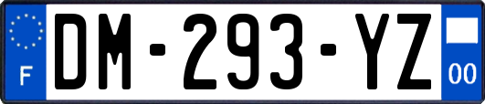 DM-293-YZ