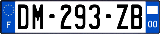 DM-293-ZB