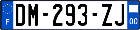 DM-293-ZJ