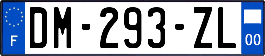 DM-293-ZL