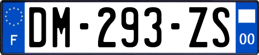 DM-293-ZS