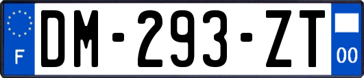 DM-293-ZT