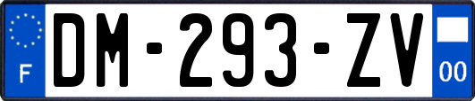 DM-293-ZV