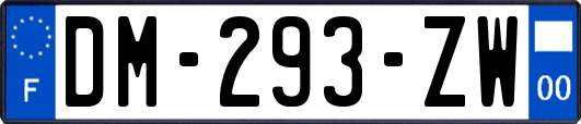 DM-293-ZW