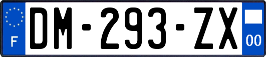 DM-293-ZX