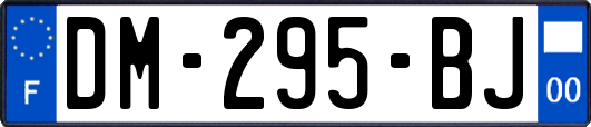 DM-295-BJ