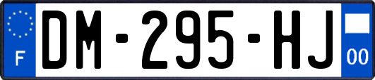 DM-295-HJ