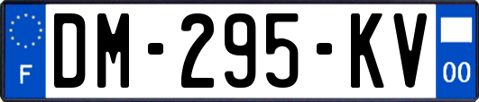 DM-295-KV