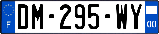 DM-295-WY