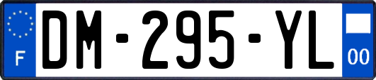 DM-295-YL