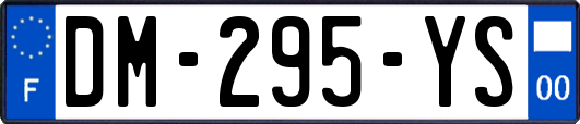 DM-295-YS