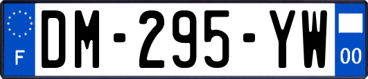 DM-295-YW