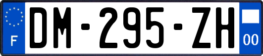 DM-295-ZH