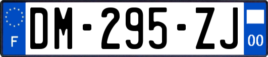 DM-295-ZJ