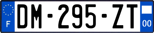 DM-295-ZT