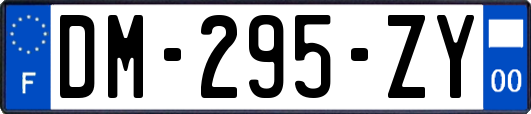 DM-295-ZY