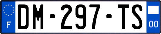 DM-297-TS
