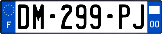 DM-299-PJ