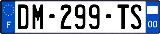DM-299-TS
