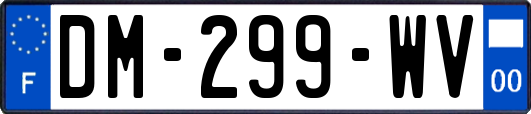 DM-299-WV