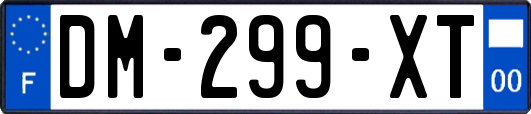 DM-299-XT