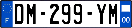 DM-299-YM