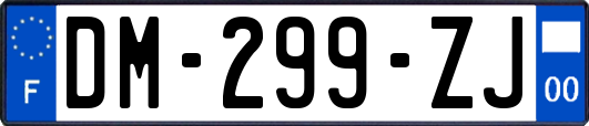 DM-299-ZJ