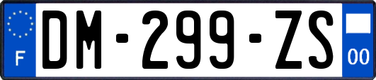 DM-299-ZS