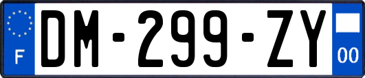 DM-299-ZY