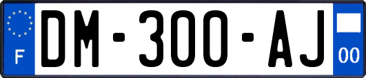 DM-300-AJ