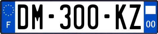 DM-300-KZ