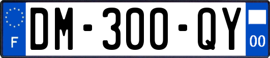 DM-300-QY