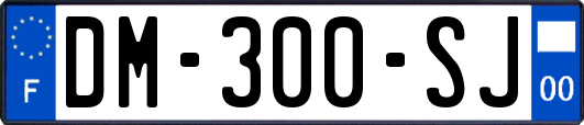 DM-300-SJ