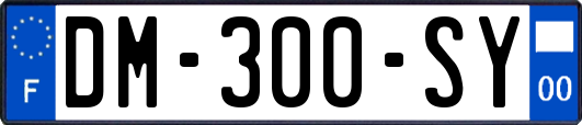 DM-300-SY