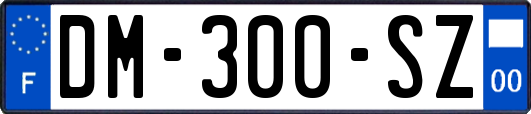 DM-300-SZ