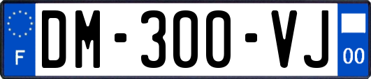 DM-300-VJ