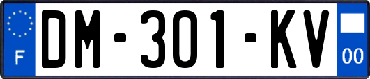 DM-301-KV