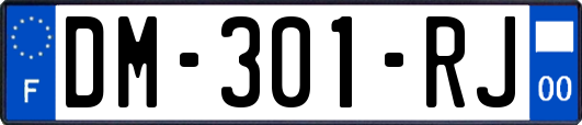 DM-301-RJ