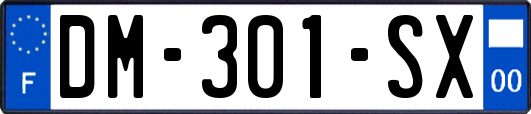 DM-301-SX