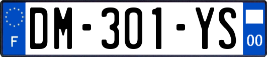 DM-301-YS