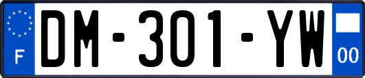 DM-301-YW