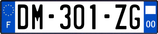 DM-301-ZG