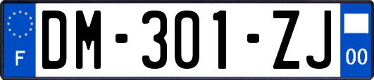 DM-301-ZJ