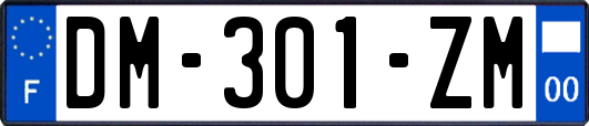 DM-301-ZM