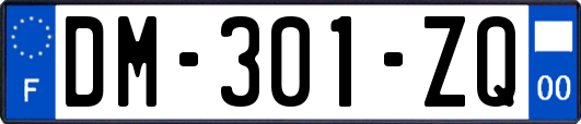 DM-301-ZQ